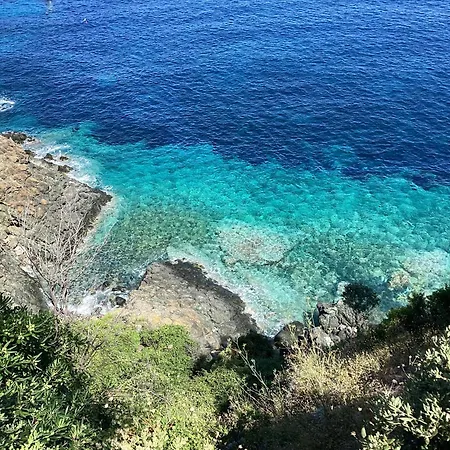 Ortensia Al Cotone Apartment